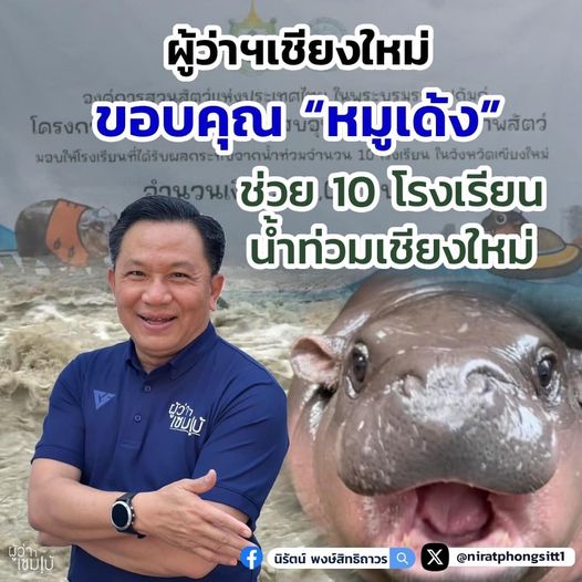 หมูเด้งช่วยโรงเรียน